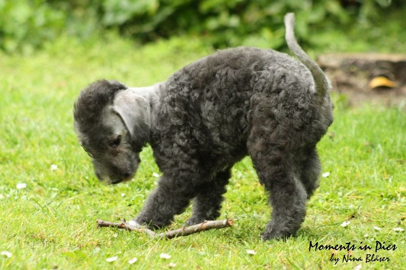 Antares 2009-07-12 (9).JPG